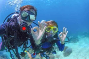 Puerto Vallarta Diving Guide Best Sites & Tips lamansionvallarta.com