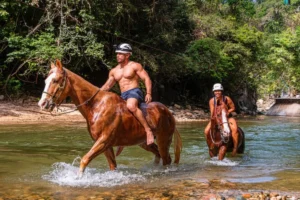 Puerto Vallarta Horseback Riding Tours & Tips lamansionvallarta.com