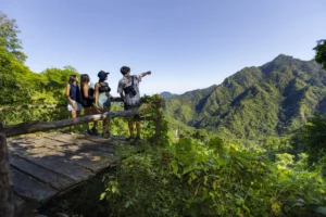 Puerto Vallarta Sierra Madre Jungle Tour Guide lamansionvallarta.com