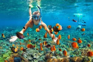 Puerto Vallarta Snorkeling Spots, Tips & More lamansionvallarta.com