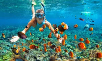 Puerto Vallarta Snorkeling: Best Spots & Tips (2026)
