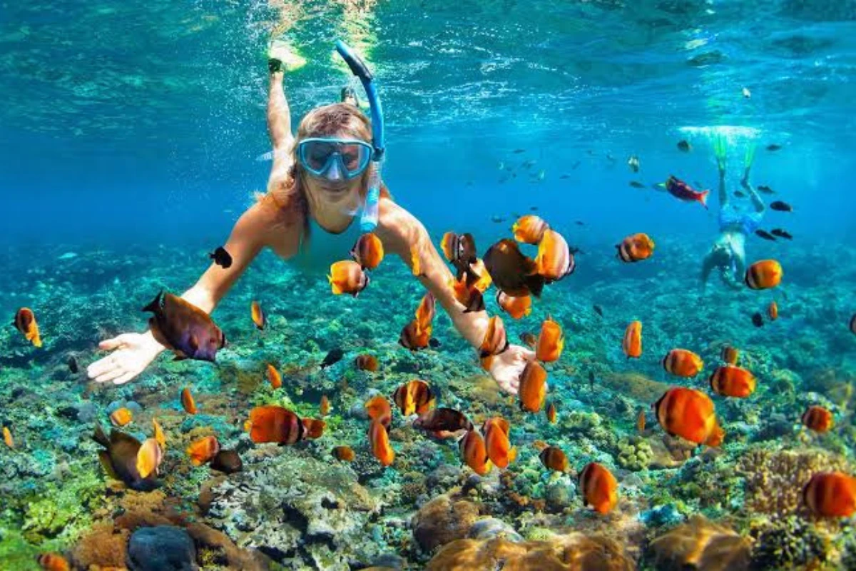 Puerto Vallarta Snorkeling Spots, Tips & More lamansionvallarta.com