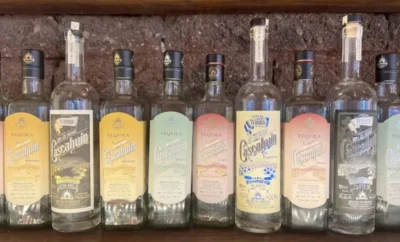 Where to Test Tequila and Mezcal in Puerto Vallarta (2026)