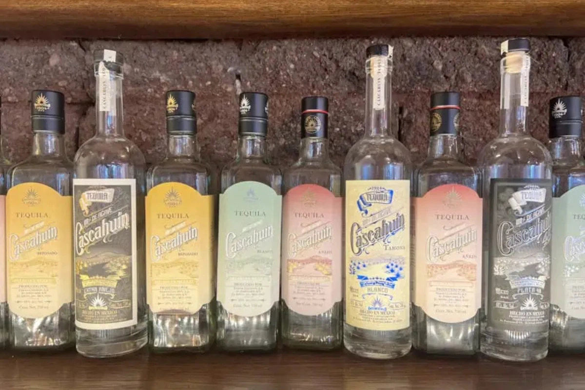 Best Tequila and Mezcal Tastings in Puerto Vallarta lamansionvallarta.com